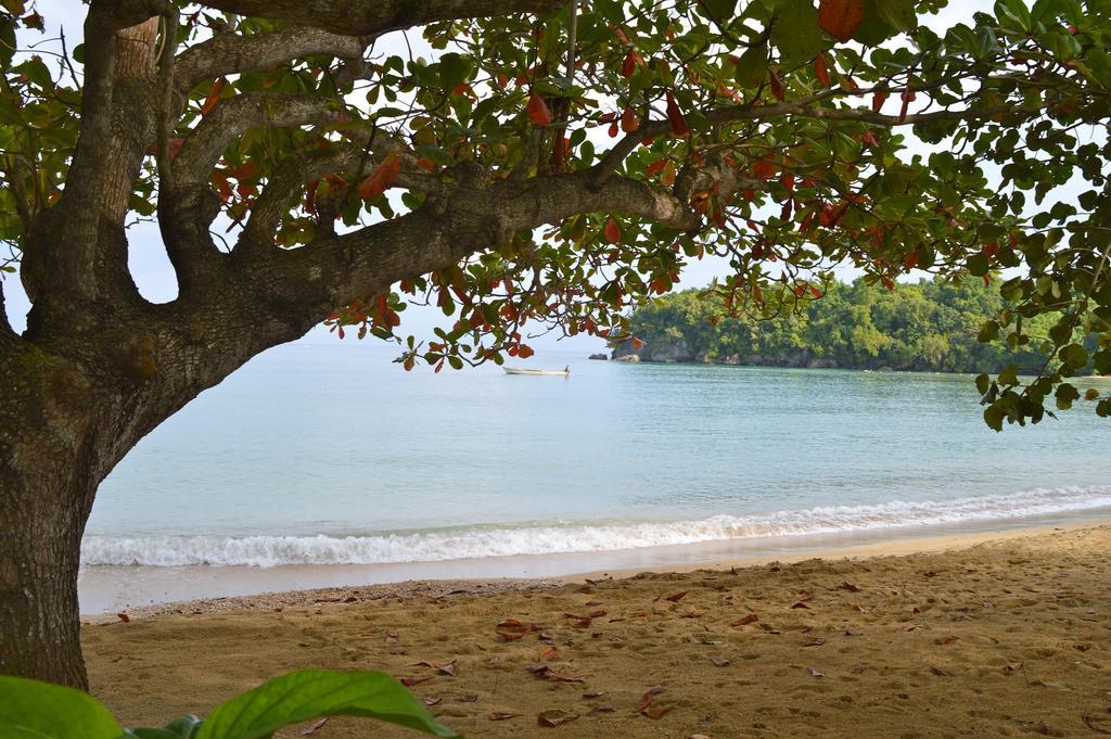 Kaz Kreol Beach Hotel Ocho Rios Exterior foto